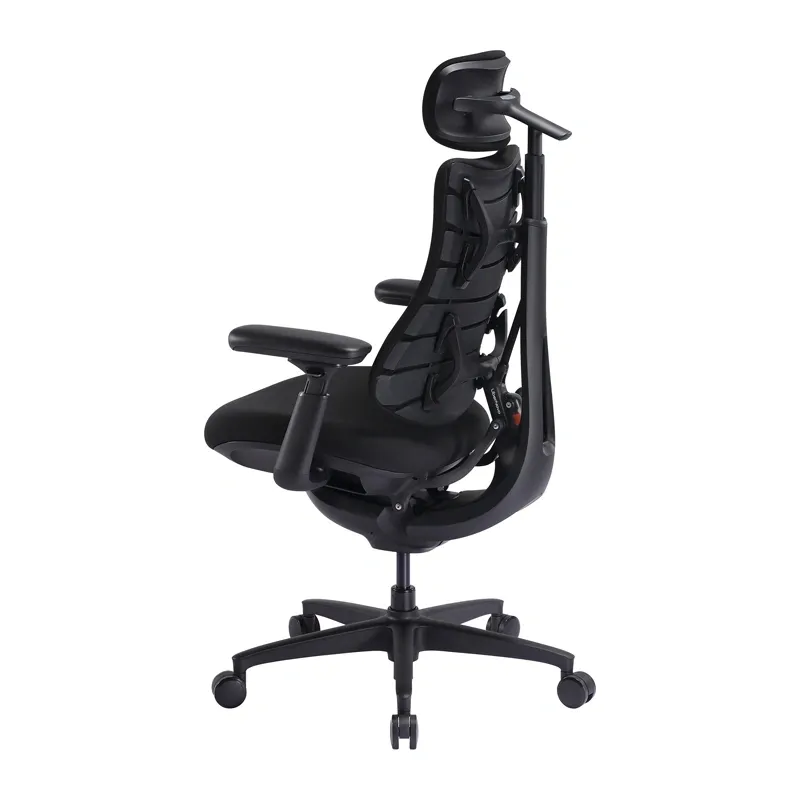 LiberNovo Omni SE 48 cm Ergonomic Chair (Black)